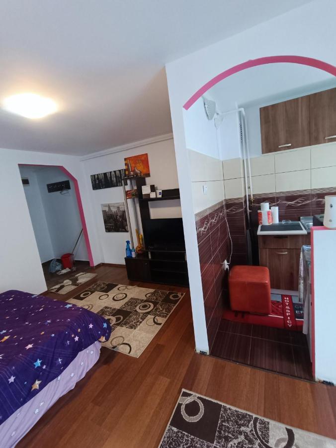 Apartament Alexia House Deva Zewnętrze zdjęcie