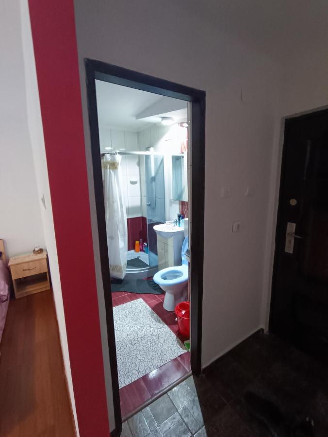 Apartament Alexia House Deva Zewnętrze zdjęcie