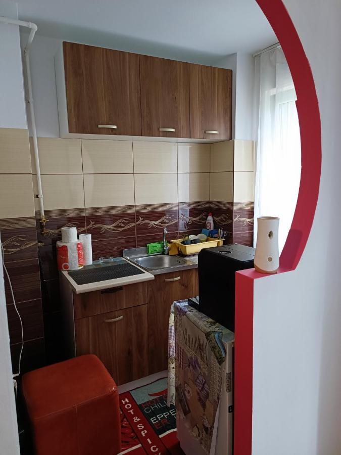 Apartament Alexia House Deva Zewnętrze zdjęcie